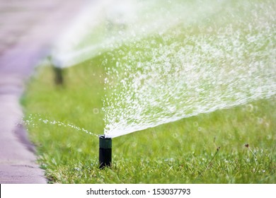 Sprinkler Head Watering The Grass