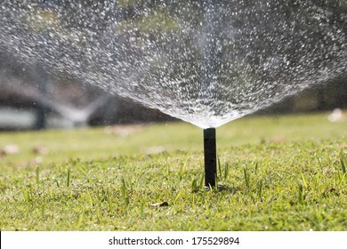 Sprinkler Head Watering In Park.