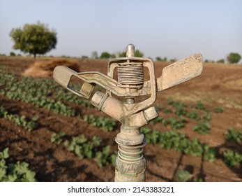 Sprinkler irrigation system, metal sprinklers in farm in india it used to watering farm, stop sprinkler in farm, metallic sprinkler, sprinkler head, metal heads in farm, india, water