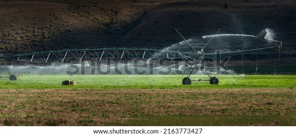 Sprinkler irrigation system at work\
on a farm pasture in Otago region, South Island, New\
Zealand