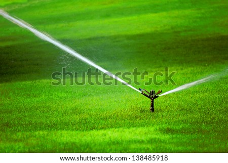 Sprinkler spraying stream of water on lush green grass