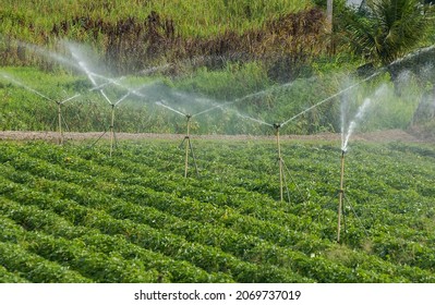 18,805 Farming sprinkler Images, Stock Photos & Vectors | Shutterstock