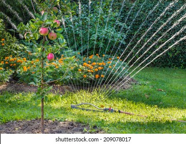 Sprinkler Watering The Garden