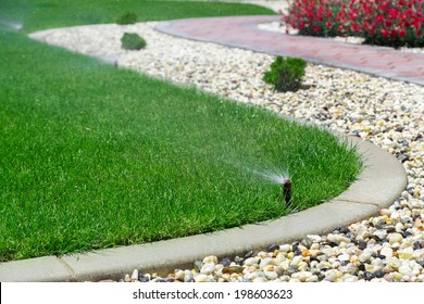 Sprinkler Watering Grass