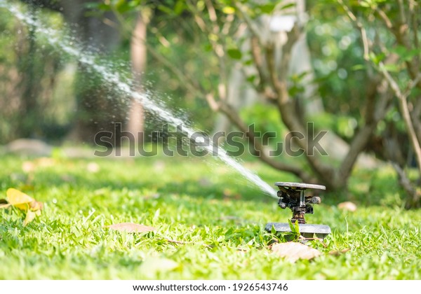 The sprinkler was watering the plants. Science\
and technology nature\
background