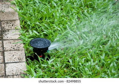 Sprinkler In Yard