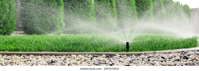 Sprinklers watering grass, green lawn in garden - Shutterstock ID 1997471819