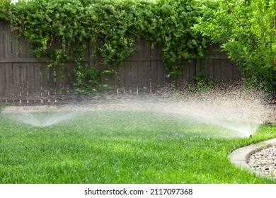 Sprinklers Watering Grass, Green Lawn In Garden