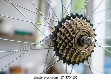 bicycle rear sprocket