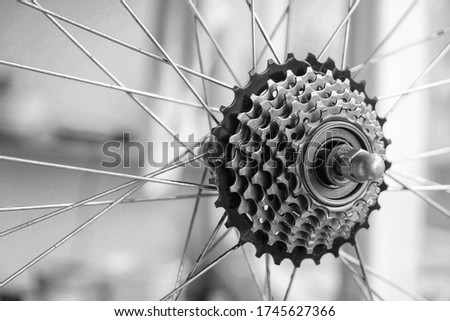 Sprocket for shifting gear on bicycle rear wheel. Bicycle repair. Black and white image. Copy space.