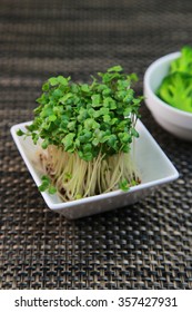 Sprout