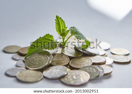 A sprout from a bunch of coins of the country Russia. The concept of business growth and income.