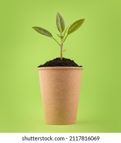 Sprout In A Paper Glass. Eco Friendly Concept