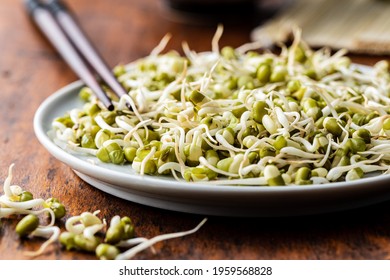 Sprouted green mung beans. Mung sprouts on plate on wooden table.