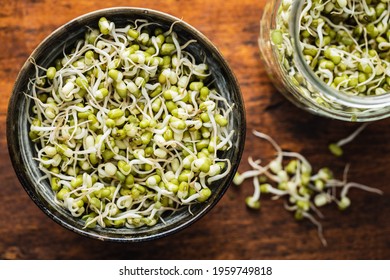 Sprouted green mung beans. Mung sprouts in bowl on wooden table. Top view.
