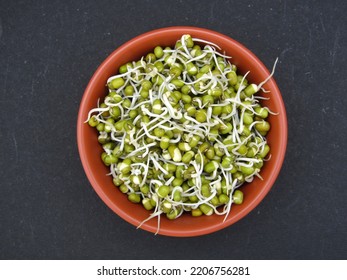 sprouted mung beans in a brown bowl 