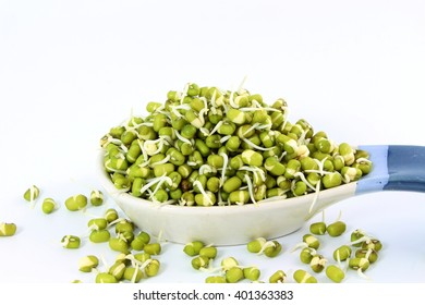 Sprouted mung beans or green gram beans in spoon in white background