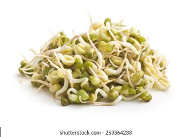 Sprouted mung beans on white background