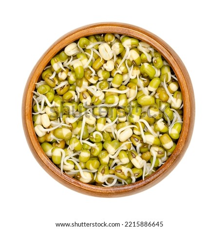 Sprouted mung beans in a wooden bowl. Mung bean sprouts, a vegetable, grown by sprouting Vigna radiata, also known as green gram, maash, monggo or munggo. Isolated, from above, over white, food photo.