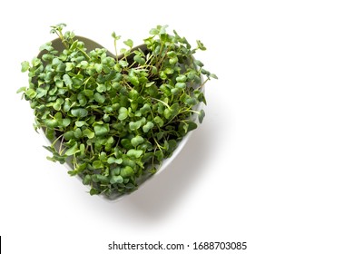 Sprouted Radish Seeds Microgreens In Box Shaped Heart. Earth Day. Seed Germination At Home. View From Above. Space For Text. Concept Vegan And Healthy Eating. Growing Sprouts.