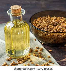 Sprouted wheat and wheat germ oil on wooden background