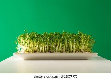 Sprouts, germinated seeds with green backgroundand luminous white table