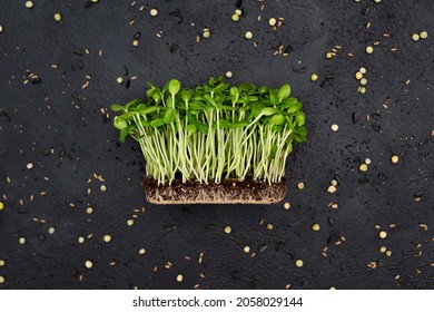 Sprouts vegetable sunflower micro, microgeen