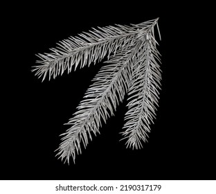 Spruce branch dyed in silver colour. Layout isolated on black background. Easy to add layer for overlay design or Screen blending mode in Photoshop.