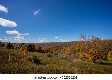 Spruce Knob Mountain Autumn