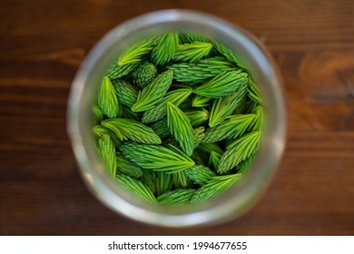 Spruce Tips In A Jar From Above On Wood