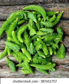 Spruce Tips On Wood Table, Close Up