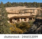 Spruce Tree House at Mesa Verde National Park in Colorado. Protected Ancestral Puebloan site, famous cliff dwelling. Closed due to rock fall danger.