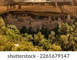Spruce Tree House Tucked Under Canyon Cliff In Mesa Verde National Park