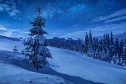 Spruce Tree On A Mountain Hill Covered With Snow In A Moon Light. Milky Way In A Starry Sky. Christmas Winter Night.
