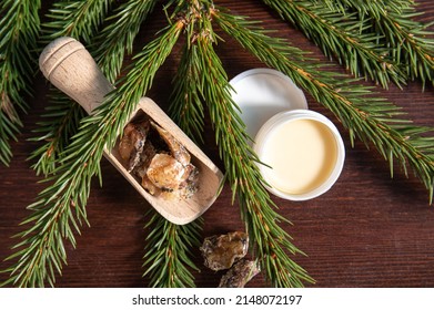 Spruce tree Picea abies herbal medicinal resin lotion in jar and pieces on wood spoon, decorated with fresh spruce branches. Using spruce resin in medicine and beauty industry concept.