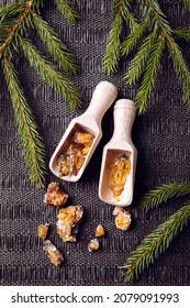 Spruce tree Picea abies resin pieces on wood spoons, decorated with fresh spruce branches. Using spruce resin in medicine and beauty industry concept.