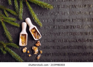 Spruce tree Picea abies resin pieces on wood spoons, decorated with fresh spruce branches. Using spruce resin in medicine and beauty industry concept. Lot of copy space.