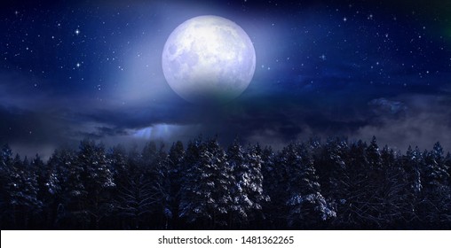 Spruce trees in the winter at full moon - Powered by Shutterstock