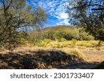 Spur Cross Ranch, Cave Creek, Arizona