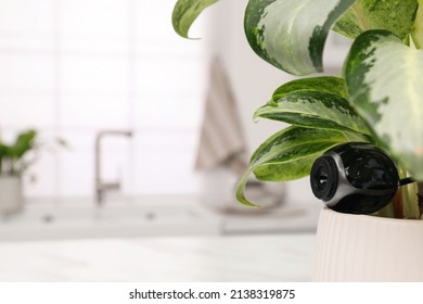 Spy Camera Hidden In Flower Pot Indoors, Closeup. Space For Text