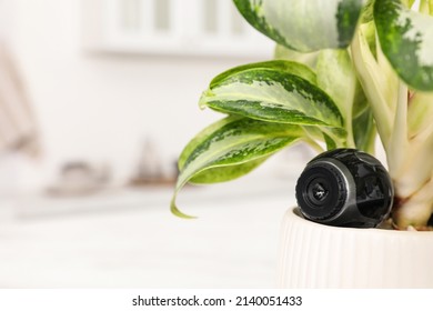 Spy Camera Hidden In Flower Pot Indoors, Closeup. Space For Text