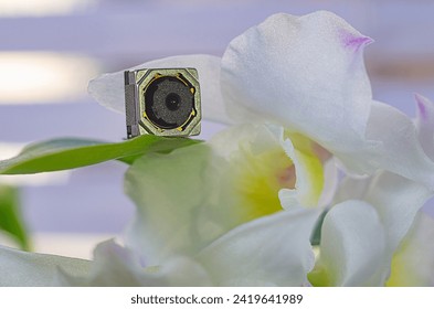 Spy small camera on the leaf of pot plant. Hidden camera. Spy scandal, collecting compromising evidence, voyeurism, wiretapping, symbolic image.