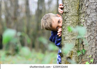 Spying Is Exciting. Small Spy. Small Child Hide Behind Tree In Forest. Small Boy Play Guessing Game. I Spy With My Little Eye.