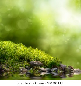 Square background with grass, stones and water in the foreground over out of focus trees and sunlight - Powered by Shutterstock