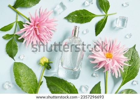 Square bottle of perfume with pink dahlia flowers, ice cube, water drops and green leaves on the light blue background. Fresh summer, fall smell. Flowery perfume smell.