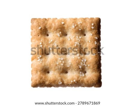 Square brown biscuit with dimples