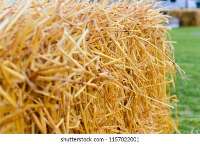 A square bundle of hay close up