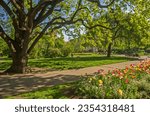 Square of Charle in Prague. Czech Republic