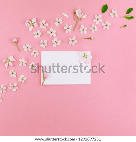 Square flat lay concept top view of blank letter envelope and spring cherry tree flowers on millennial pink background with copy space in minimal style, template for celebration, valentine cards