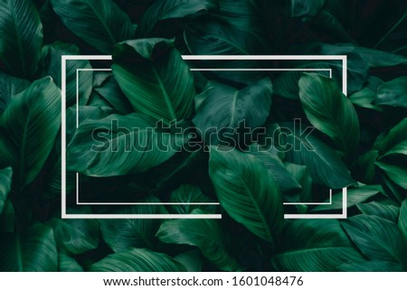 Square frame, Creative layout made of tropical flowers and leaves with paper card note. Flat lay. Blank for advertising card or invitation. Flat lay. Nature concept.
